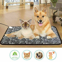 Collection image for: Beds & Comfort