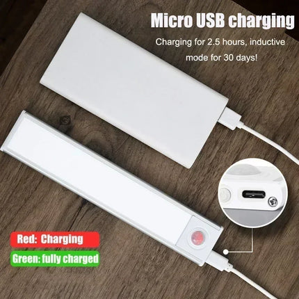Motion Sensor Rechargeable LED Night Light
