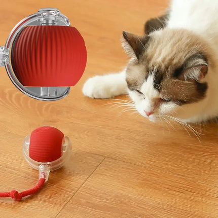 Cat toy ball self hi ball teasing cat rolling ball hair pet relieve