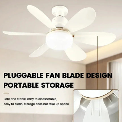 Smart Ceiling Fan Light