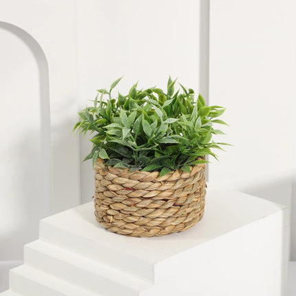 Green Artificial Eucalyptus Grass Small Potted Plant