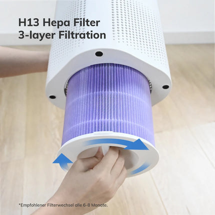 ABIRDAY 2-in-1 Air Purifier with Humidifier Combo for Home Allergies and Pets Hair, Smokers in Bedroom, H13 True HEPA Filter