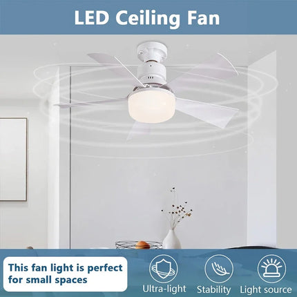 Smart Ceiling Fan Light