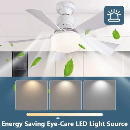Smart Ceiling Fan Light