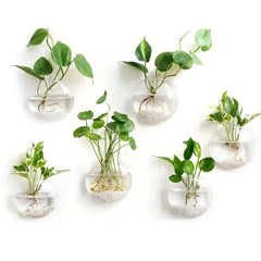Collection image for: Planters & Pots