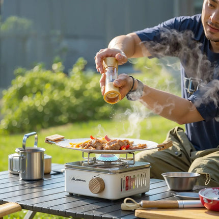 2800W Portable Gas Stove