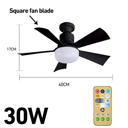 Smart Ceiling Fan Light
