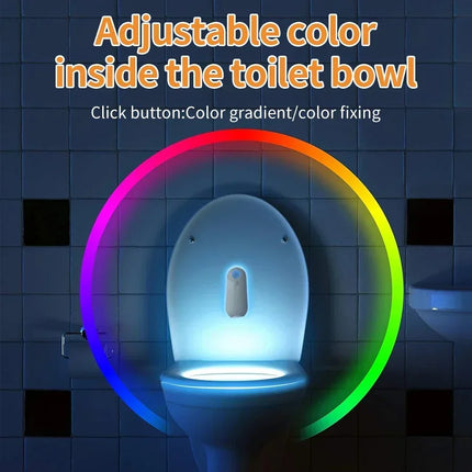 Rechargeable Motion Sensor Toilet Lamp