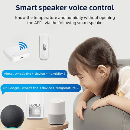 Smart Temperature Humidity Sensor