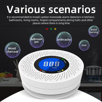 Carbon Monoxide Detector
