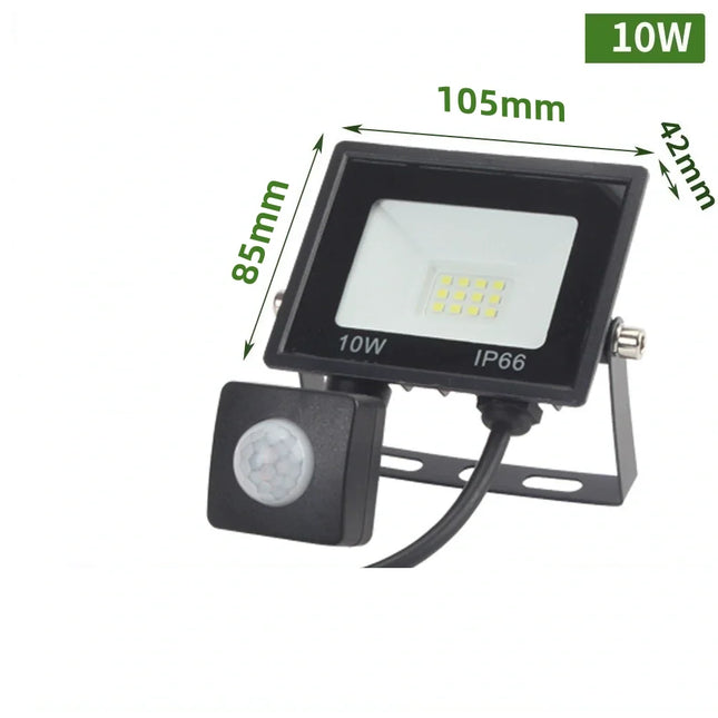 LED PIR Motion Sensor Floodlight Outdoor Wall Light White Light 100W 50W 30W 20W 10W IP66 Waterproof LED Spotlight For Garden