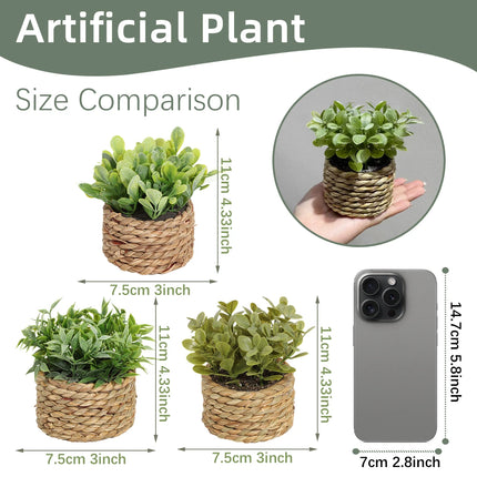 Green Artificial Eucalyptus Grass Small Potted Plant