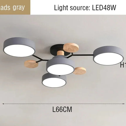 Modern LED Chandelier with 3 Colors