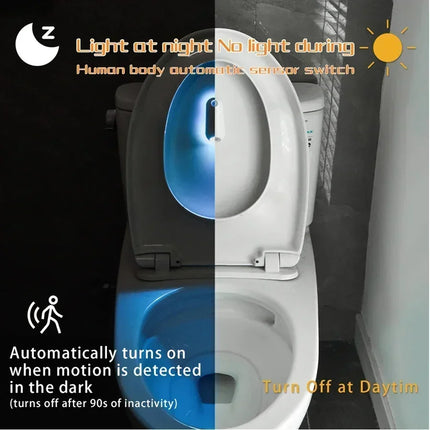 Rechargeable Motion Sensor Toilet Lamp