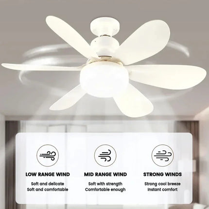 Smart Ceiling Fan Light