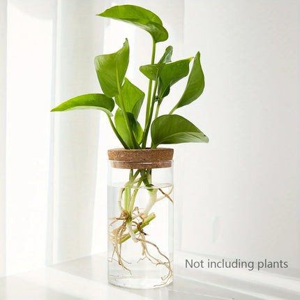 Hydroponics Glass Planter Vase
