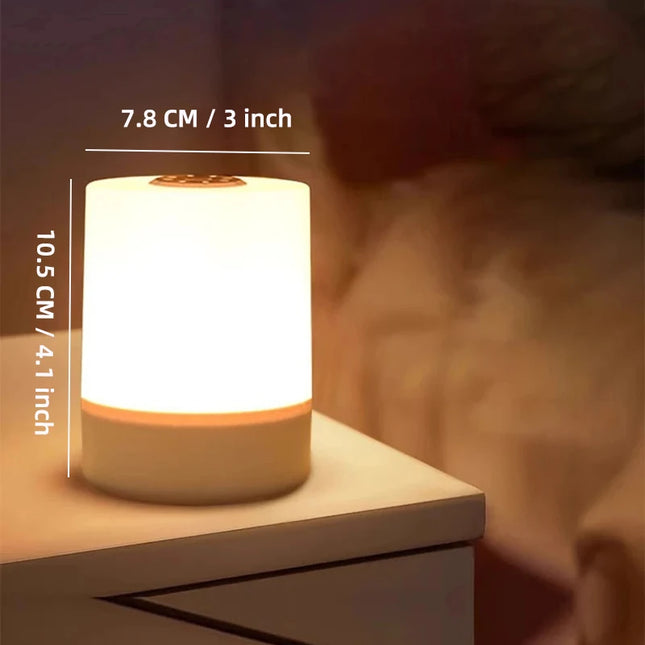 Touch Night Lamp with 3 Dimming Modes