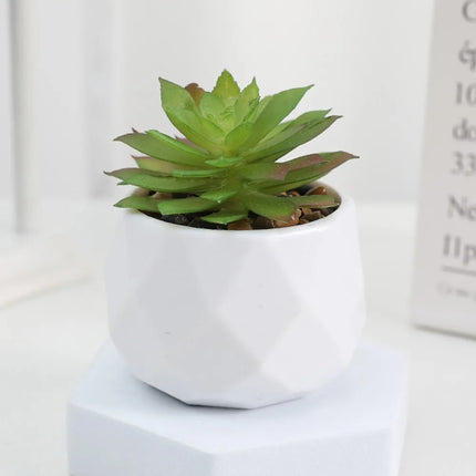 Mini Artificial Succulent Bonsai Plants