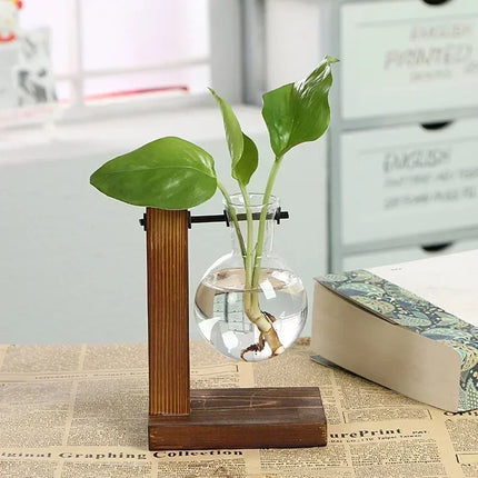 Vintage Terrarium Plant Vase