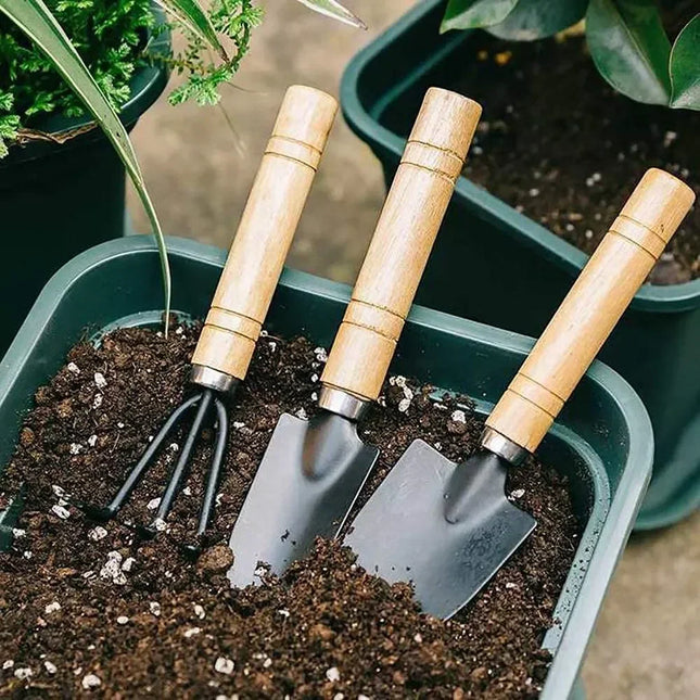 3Pcs Mini Garden Tool Set