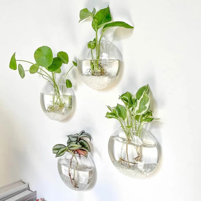 Wall-Mounted Glass Plant Terrarium