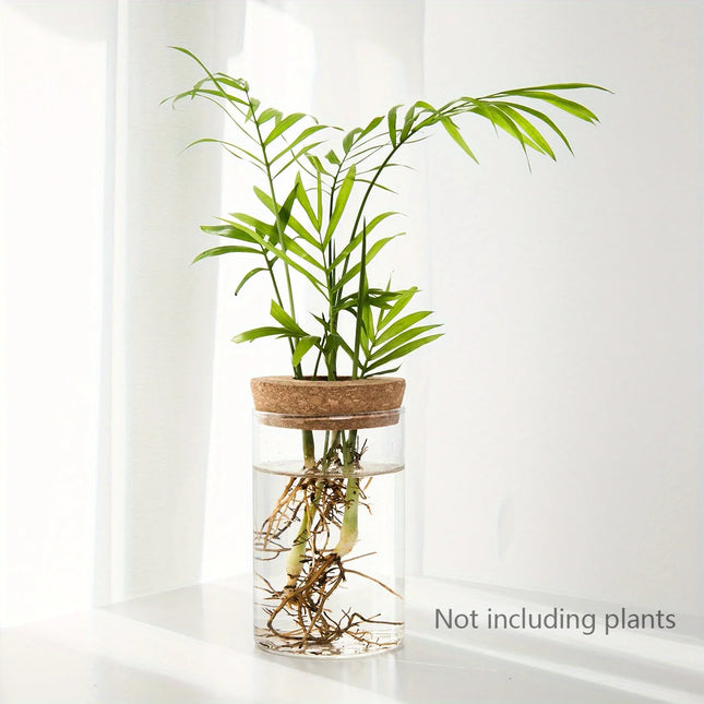 Hydroponics Glass Planter Vase