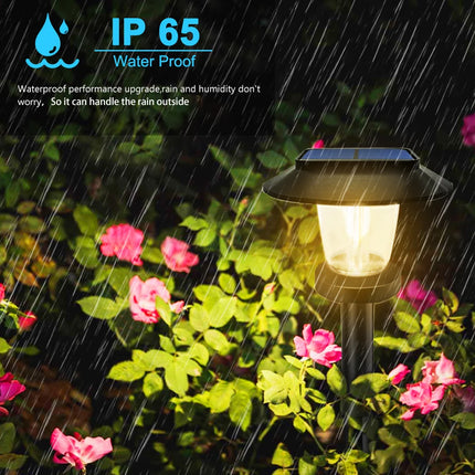 Solar Pathway Lights