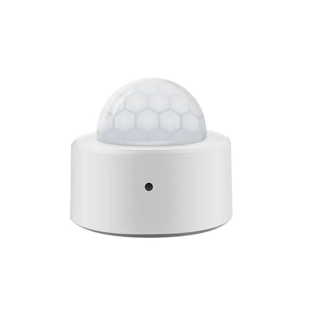 Wi-Fi Smart PIR Motion Sensor Alarm