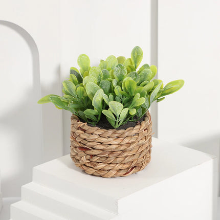 Green Artificial Eucalyptus Grass Small Potted Plant