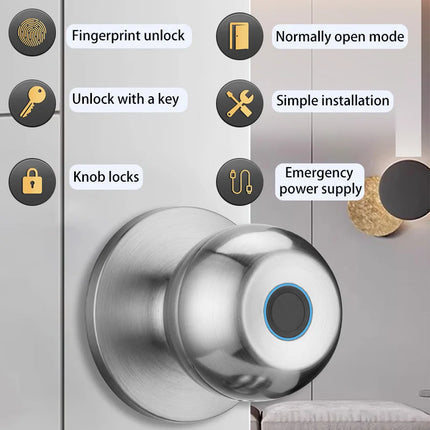 Biometric Fingerprint Smart Door Lock Keyless