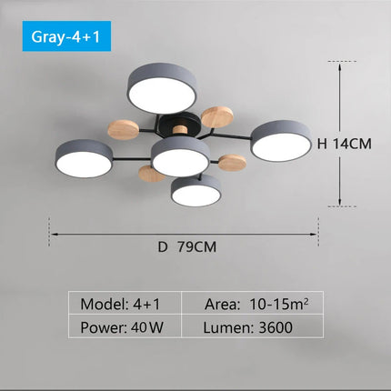 Modern LED Chandelier with 3 Colors