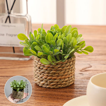 Green Artificial Eucalyptus Grass Small Potted Plant