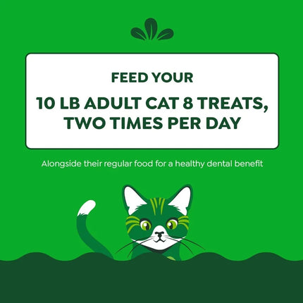Feline Adult Dental Cat Treats Catnip Flavor 9.75 oz. Tub