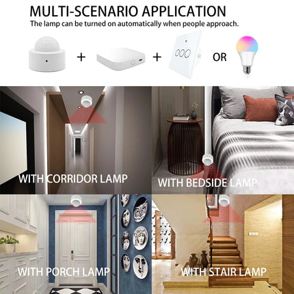 Wi-Fi Smart PIR Motion Sensor Alarm