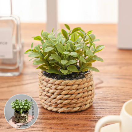 Green Artificial Eucalyptus Grass Small Potted Plant