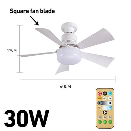 Smart Ceiling Fan Light