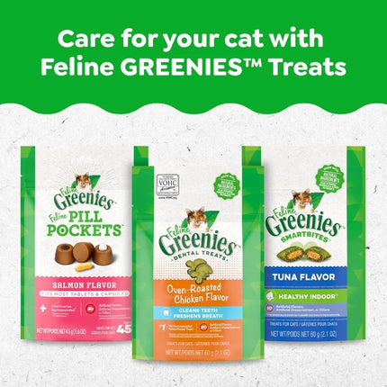 Feline Adult Dental Cat Treats Catnip Flavor 9.75 oz. Tub