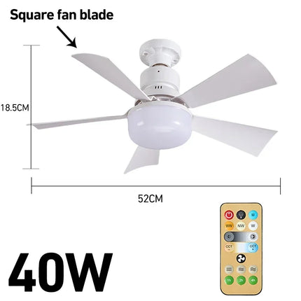 Smart Ceiling Fan Light