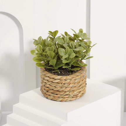 Green Artificial Eucalyptus Grass Small Potted Plant