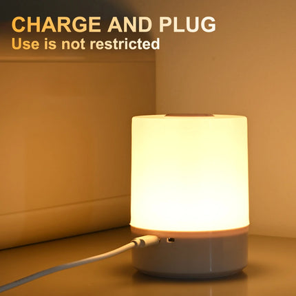 Touch Night Lamp with 3 Dimming Modes