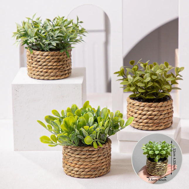 Green Artificial Eucalyptus Grass Small Potted Plant