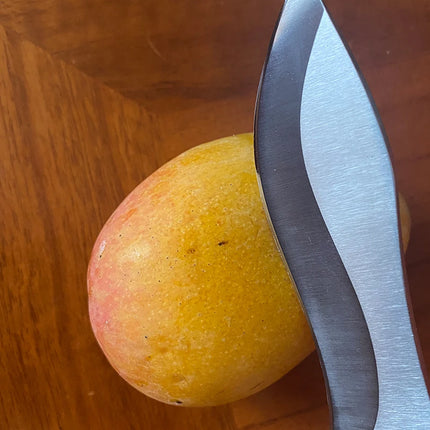 Boning Knife Barbecue Camping Cleaver Meat Cut Fruit Kitchen Knives Chef Utility Butcher Knife Sharp Blade Wooden Handle Cleaver