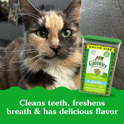 Feline Adult Dental Cat Treats Catnip Flavor 9.75 oz. Tub
