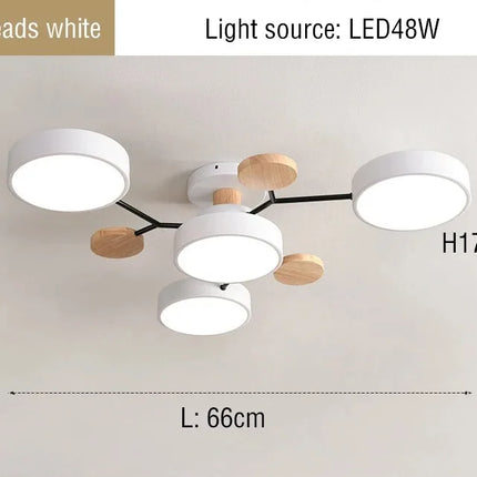 Modern LED Chandelier with 3 Colors