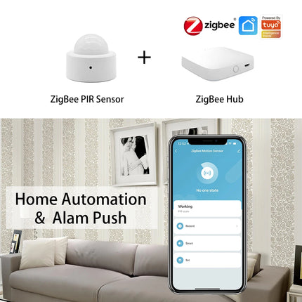 Wi-Fi Smart PIR Motion Sensor Alarm